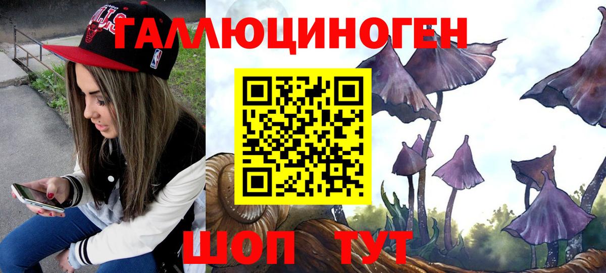 Галлюциногенные грибы Psilocybine cubensis  Псилоцибиновые грибы мицелий  Каменск-Шахтинский  Вход с VPN 